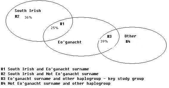 base haplotypes